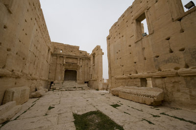 Palmyra apr 2009 0278.jpg