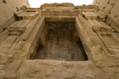Palmyra apr 2009 0279.jpg
