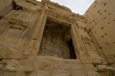 Palmyra apr 2009 0281.jpg