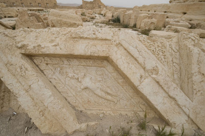 Palmyra apr 2009 0283.jpg