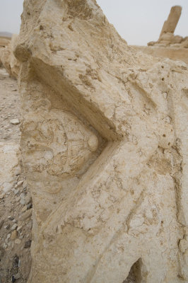 Palmyra apr 2009 0284.jpg