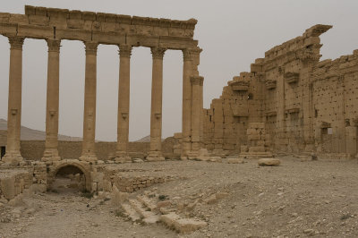 Palmyra apr 2009 0286.jpg