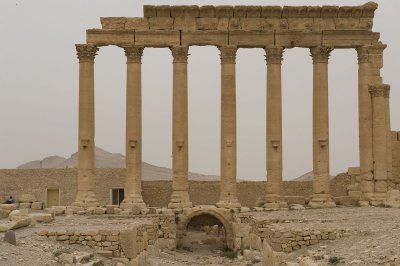 Palmyra apr 2009 0287.jpg