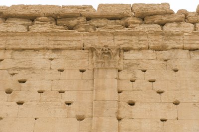 Palmyra apr 2009 0288.jpg