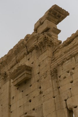 Palmyra apr 2009 0290.jpg