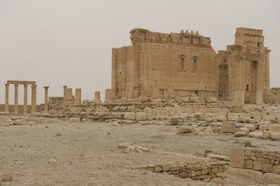 Palmyra apr 2009 0292.jpg