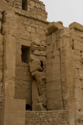 Palmyra apr 2009 0301.jpg