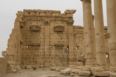 Palmyra apr 2009 0304.jpg
