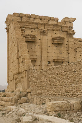 Palmyra apr 2009 0305.jpg