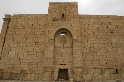 Palmyra apr 2009 0308.jpg