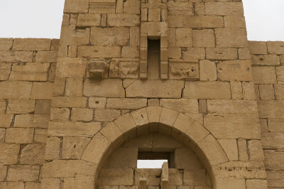 Palmyra apr 2009 0309.jpg