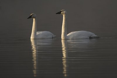 g1/67/926167/3/116487419.bNmEKgzr.jpg