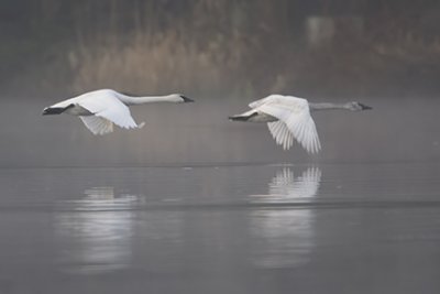 g1/67/926167/3/116487691.cXTIoBk8.jpg