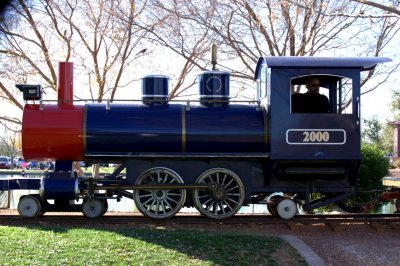 Daisy Mountain Train