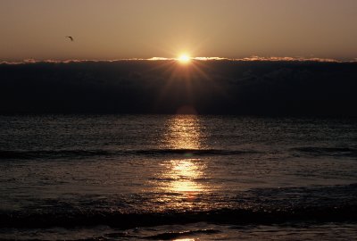 g1/67/971267/3/131471337.0NnKO7Pt.jpg
