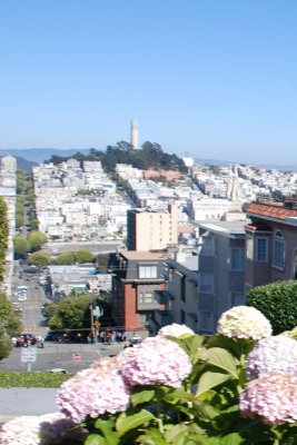 Coit Tower Lombard St 4x6  DSC_5228.JPG