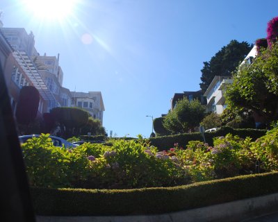 Lombard St 8x10 DSC_5233.JPG