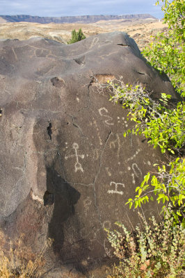 petroglyph, owyhee river