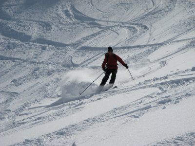 IMG_2356.jpg