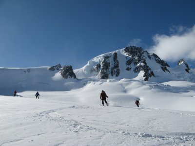 IMG_2372.jpg