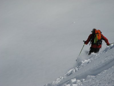IMG_2432.jpg