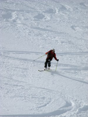 IMG_2467_edited-1.jpg