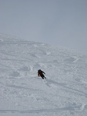 IMG_2468.jpg