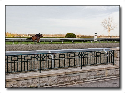 gallop4520.jpg