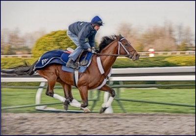 keeneland4527.jpg