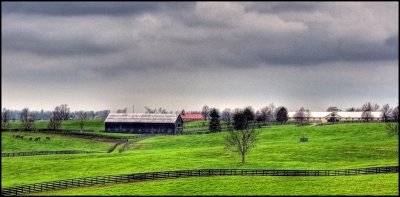 horsefarm4952_3_4_tonemapped.jpg