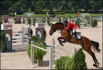 horsepark7886.jpg