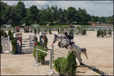 horsepark7903.jpg