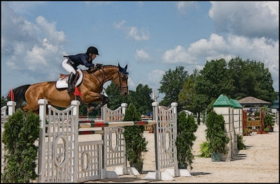 HORSEPARK7928.jpg