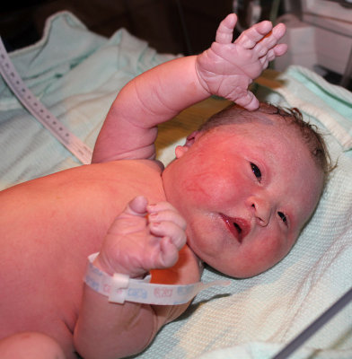 Aiden 3575.jpg
