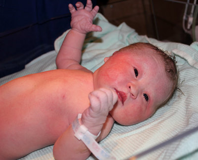 Aiden 3576.jpg