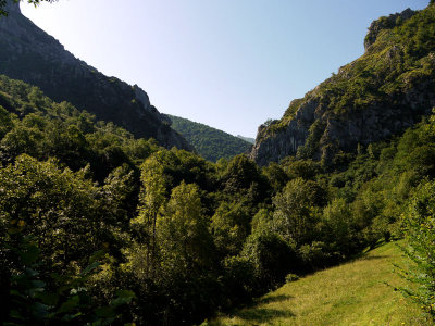 Detalle del paisaje