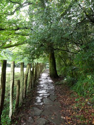 Vereda por el Prado del Akelarre
