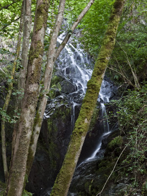 Cascada de la Salgueira