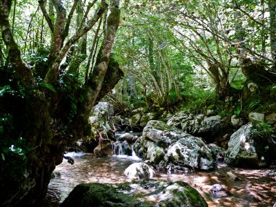 Arroyo de los Arrudos