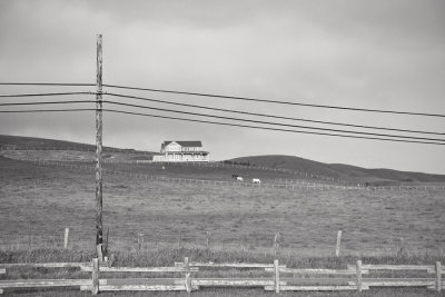 Ranch, Point Reyes Station