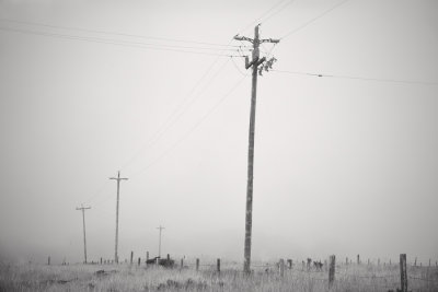 Utility Poles, Point Reyes