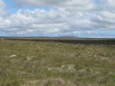 A lovely June day on the moor with Muirneag in the distance