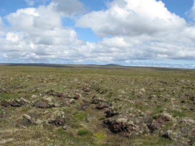 Muirneag and more pools on the moor