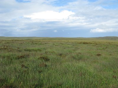 Moorland