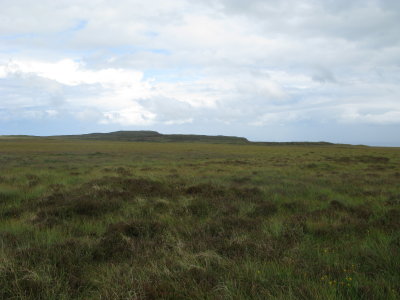 Moorland