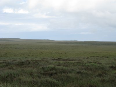 Moorland