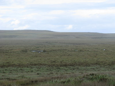 Puddles on the moor