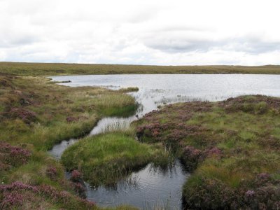 burn flowing out of loch lingabhat mor.jpg