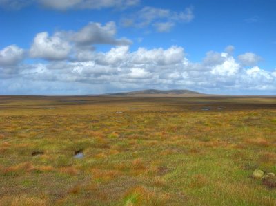 a perfect day on the moor.jpg
