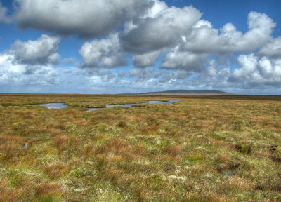 small pools on the moor processed.jpg